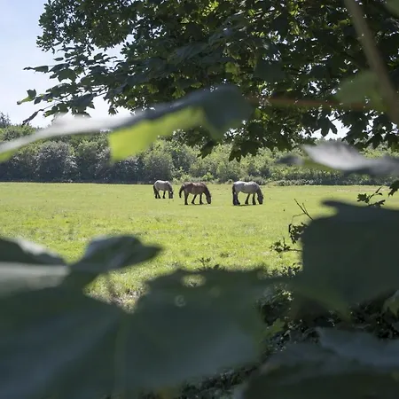 Hohe Geest Whg. 6 Διαμέρισμα Κουξχάφεν