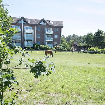 Hohe Geest Whg. 6 Apartment *